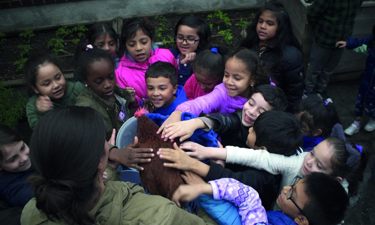 Children in garden petting chicken | By Summer Rayne Oakes
